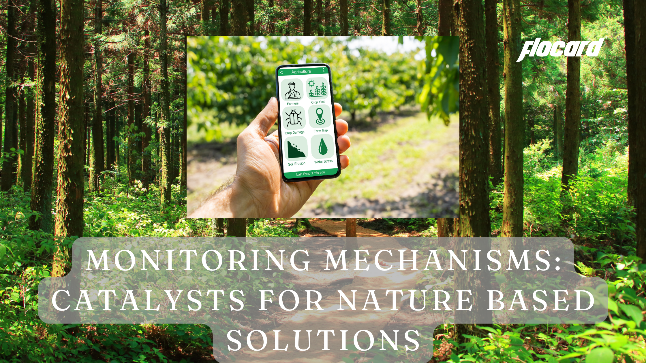 Monitoring Mechanisms: The Emerging Solution that Promises to Combat Climate Change through Nature Based Solutions